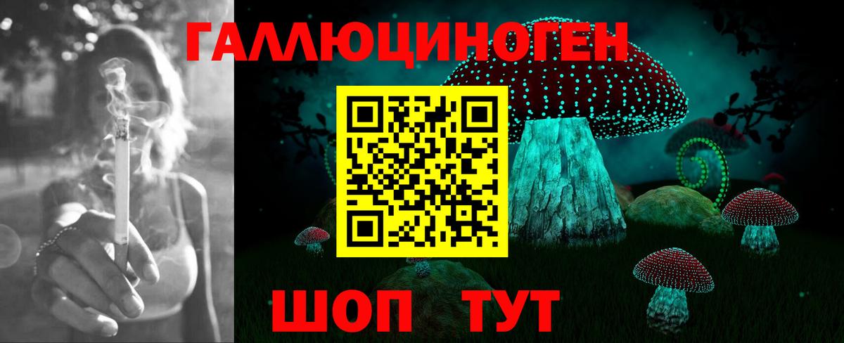 Псилоцибиновые грибы GOLDEN TEACHER Когалым